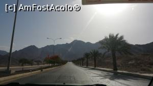[P12] Cu taxiul în drum spre Petra » foto by nicole33
 - 
<span class="allrVoted glyphicon glyphicon-heart hidden" id="av927852"></span>
<a class="m-l-10 hidden" id="sv927852" onclick="voting_Foto_DelVot(,927852,1591)" role="button">șterge vot <span class="glyphicon glyphicon-remove"></span></a>
<a id="v9927852" class=" c-red"  onclick="voting_Foto_SetVot(927852)" role="button"><span class="glyphicon glyphicon-heart-empty"></span> <b>LIKE</b> = Votează poza</a> <img class="hidden"  id="f927852W9" src="/imagini/loader.gif" border="0" /><span class="AjErrMes hidden" id="e927852ErM"></span>