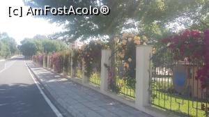 [P22] Trandafiri pe strada unde se află hotelul Marina Royal Palace din staţiunea Duni, Bulgaria.  » foto by traian.leuca †
 - 
<span class="allrVoted glyphicon glyphicon-heart hidden" id="av743627"></span>
<a class="m-l-10 hidden" id="sv743627" onclick="voting_Foto_DelVot(,743627,1618)" role="button">șterge vot <span class="glyphicon glyphicon-remove"></span></a>
<a id="v9743627" class=" c-red"  onclick="voting_Foto_SetVot(743627)" role="button"><span class="glyphicon glyphicon-heart-empty"></span> <b>LIKE</b> = Votează poza</a> <img class="hidden"  id="f743627W9" src="/imagini/loader.gif" border="0" /><span class="AjErrMes hidden" id="e743627ErM"></span>