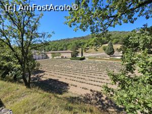 [P09] abatia Notre Dame de Senanque » foto by Chloe
 - 
<span class="allrVoted glyphicon glyphicon-heart hidden" id="av1396964"></span>
<a class="m-l-10 hidden" id="sv1396964" onclick="voting_Foto_DelVot(,1396964,1628)" role="button">șterge vot <span class="glyphicon glyphicon-remove"></span></a>
<a id="v91396964" class=" c-red"  onclick="voting_Foto_SetVot(1396964)" role="button"><span class="glyphicon glyphicon-heart-empty"></span> <b>LIKE</b> = Votează poza</a> <img class="hidden"  id="f1396964W9" src="/imagini/loader.gif" border="0" /><span class="AjErrMes hidden" id="e1396964ErM"></span>