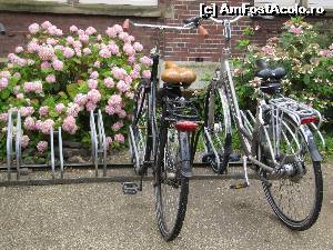 [P16] Amsterdam-o poza cat o mie de cuvinte!  » foto by alb1573
 - 
<span class="allrVoted glyphicon glyphicon-heart hidden" id="av648163"></span>
<a class="m-l-10 hidden" id="sv648163" onclick="voting_Foto_DelVot(,648163,1639)" role="button">șterge vot <span class="glyphicon glyphicon-remove"></span></a>
<a id="v9648163" class=" c-red"  onclick="voting_Foto_SetVot(648163)" role="button"><span class="glyphicon glyphicon-heart-empty"></span> <b>LIKE</b> = Votează poza</a> <img class="hidden"  id="f648163W9" src="/imagini/loader.gif" border="0" /><span class="AjErrMes hidden" id="e648163ErM"></span>
