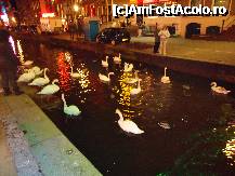 [P11] doamnele lebede de pe unul din canalele din asa-zisul cartier al felinarelor rosii,pe doamnele din vitrine nu aveti voie sa le fotografiati » foto by station5*
 - 
<span class="allrVoted glyphicon glyphicon-heart hidden" id="av191435"></span>
<a class="m-l-10 hidden" id="sv191435" onclick="voting_Foto_DelVot(,191435,1639)" role="button">șterge vot <span class="glyphicon glyphicon-remove"></span></a>
<a id="v9191435" class=" c-red"  onclick="voting_Foto_SetVot(191435)" role="button"><span class="glyphicon glyphicon-heart-empty"></span> <b>LIKE</b> = Votează poza</a> <img class="hidden"  id="f191435W9" src="/imagini/loader.gif" border="0" /><span class="AjErrMes hidden" id="e191435ErM"></span>