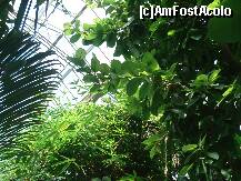 [P23]  -- <small>// FĂRĂ DESCRIERE</small> » foto by a.sr*
 - 
<span class="allrVoted glyphicon glyphicon-heart hidden" id="av271259"></span>
<a class="m-l-10 hidden" id="sv271259" onclick="voting_Foto_DelVot(,271259,1639)" role="button">șterge vot <span class="glyphicon glyphicon-remove"></span></a>
<a id="v9271259" class=" c-red"  onclick="voting_Foto_SetVot(271259)" role="button"><span class="glyphicon glyphicon-heart-empty"></span> <b>LIKE</b> = Votează poza</a> <img class="hidden"  id="f271259W9" src="/imagini/loader.gif" border="0" /><span class="AjErrMes hidden" id="e271259ErM"></span>