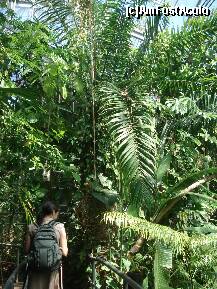 [P24] printre varfurile plantelor » foto by a.sr*
 - 
<span class="allrVoted glyphicon glyphicon-heart hidden" id="av271260"></span>
<a class="m-l-10 hidden" id="sv271260" onclick="voting_Foto_DelVot(,271260,1639)" role="button">șterge vot <span class="glyphicon glyphicon-remove"></span></a>
<a id="v9271260" class=" c-red"  onclick="voting_Foto_SetVot(271260)" role="button"><span class="glyphicon glyphicon-heart-empty"></span> <b>LIKE</b> = Votează poza</a> <img class="hidden"  id="f271260W9" src="/imagini/loader.gif" border="0" /><span class="AjErrMes hidden" id="e271260ErM"></span>