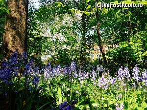 [P37] Hortus Botanicus » foto by Ammelie
 - 
<span class="allrVoted glyphicon glyphicon-heart hidden" id="av623297"></span>
<a class="m-l-10 hidden" id="sv623297" onclick="voting_Foto_DelVot(,623297,1639)" role="button">șterge vot <span class="glyphicon glyphicon-remove"></span></a>
<a id="v9623297" class=" c-red"  onclick="voting_Foto_SetVot(623297)" role="button"><span class="glyphicon glyphicon-heart-empty"></span> <b>LIKE</b> = Votează poza</a> <img class="hidden"  id="f623297W9" src="/imagini/loader.gif" border="0" /><span class="AjErrMes hidden" id="e623297ErM"></span>