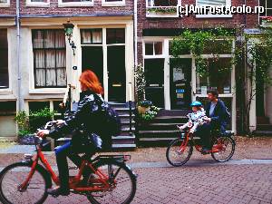 [P04] Toata lumea pe biciclete!  » foto by Ammelie
 - 
<span class="allrVoted glyphicon glyphicon-heart hidden" id="av623264"></span>
<a class="m-l-10 hidden" id="sv623264" onclick="voting_Foto_DelVot(,623264,1639)" role="button">șterge vot <span class="glyphicon glyphicon-remove"></span></a>
<a id="v9623264" class=" c-red"  onclick="voting_Foto_SetVot(623264)" role="button"><span class="glyphicon glyphicon-heart-empty"></span> <b>LIKE</b> = Votează poza</a> <img class="hidden"  id="f623264W9" src="/imagini/loader.gif" border="0" /><span class="AjErrMes hidden" id="e623264ErM"></span>
