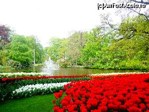 [P44] Keukenhof » foto by Ammelie
 - 
<span class="allrVoted glyphicon glyphicon-heart hidden" id="av623304"></span>
<a class="m-l-10 hidden" id="sv623304" onclick="voting_Foto_DelVot(,623304,1639)" role="button">șterge vot <span class="glyphicon glyphicon-remove"></span></a>
<a id="v9623304" class=" c-red"  onclick="voting_Foto_SetVot(623304)" role="button"><span class="glyphicon glyphicon-heart-empty"></span> <b>LIKE</b> = Votează poza</a> <img class="hidden"  id="f623304W9" src="/imagini/loader.gif" border="0" /><span class="AjErrMes hidden" id="e623304ErM"></span>