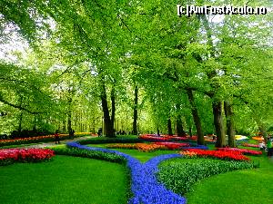 [P45] Keukenhof » foto by Ammelie
 - 
<span class="allrVoted glyphicon glyphicon-heart hidden" id="av623305"></span>
<a class="m-l-10 hidden" id="sv623305" onclick="voting_Foto_DelVot(,623305,1639)" role="button">șterge vot <span class="glyphicon glyphicon-remove"></span></a>
<a id="v9623305" class=" c-red"  onclick="voting_Foto_SetVot(623305)" role="button"><span class="glyphicon glyphicon-heart-empty"></span> <b>LIKE</b> = Votează poza</a> <img class="hidden"  id="f623305W9" src="/imagini/loader.gif" border="0" /><span class="AjErrMes hidden" id="e623305ErM"></span>