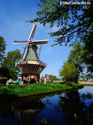 [P50] Keukenhof » foto by Ammelie
 - 
<span class="allrVoted glyphicon glyphicon-heart hidden" id="av623310"></span>
<a class="m-l-10 hidden" id="sv623310" onclick="voting_Foto_DelVot(,623310,1639)" role="button">șterge vot <span class="glyphicon glyphicon-remove"></span></a>
<a id="v9623310" class=" c-red"  onclick="voting_Foto_SetVot(623310)" role="button"><span class="glyphicon glyphicon-heart-empty"></span> <b>LIKE</b> = Votează poza</a> <img class="hidden"  id="f623310W9" src="/imagini/loader.gif" border="0" /><span class="AjErrMes hidden" id="e623310ErM"></span>