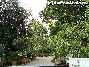 [P09] Intrarea in Hortus Botanicus, cea mai veche... gradina, unde florile nu primesc telefon » foto by mireille
 - 
<span class="allrVoted glyphicon glyphicon-heart hidden" id="av486453"></span>
<a class="m-l-10 hidden" id="sv486453" onclick="voting_Foto_DelVot(,486453,1639)" role="button">șterge vot <span class="glyphicon glyphicon-remove"></span></a>
<a id="v9486453" class=" c-red"  onclick="voting_Foto_SetVot(486453)" role="button"><span class="glyphicon glyphicon-heart-empty"></span> <b>LIKE</b> = Votează poza</a> <img class="hidden"  id="f486453W9" src="/imagini/loader.gif" border="0" /><span class="AjErrMes hidden" id="e486453ErM"></span>