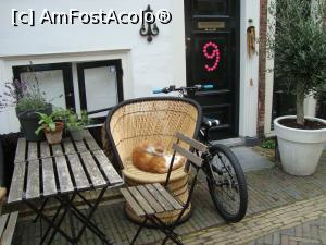 [P13] Un colț pitoresc în fața unei case pe o stradă anonimă.  » foto by mireille
 - 
<span class="allrVoted glyphicon glyphicon-heart hidden" id="av1062998"></span>
<a class="m-l-10 hidden" id="sv1062998" onclick="voting_Foto_DelVot(,1062998,1639)" role="button">șterge vot <span class="glyphicon glyphicon-remove"></span></a>
<a id="v91062998" class=" c-red"  onclick="voting_Foto_SetVot(1062998)" role="button"><span class="glyphicon glyphicon-heart-empty"></span> <b>LIKE</b> = Votează poza</a> <img class="hidden"  id="f1062998W9" src="/imagini/loader.gif" border="0" /><span class="AjErrMes hidden" id="e1062998ErM"></span>