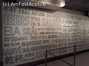 [P42] Heineken Experience - hai noroc în toate limbile pământului, inclusiv în română, după cum se vede pe rândul de jos.  » foto by Aurici
 - 
<span class="allrVoted glyphicon glyphicon-heart hidden" id="av1073730"></span>
<a class="m-l-10 hidden" id="sv1073730" onclick="voting_Foto_DelVot(,1073730,1639)" role="button">șterge vot <span class="glyphicon glyphicon-remove"></span></a>
<a id="v91073730" class=" c-red"  onclick="voting_Foto_SetVot(1073730)" role="button"><span class="glyphicon glyphicon-heart-empty"></span> <b>LIKE</b> = Votează poza</a> <img class="hidden"  id="f1073730W9" src="/imagini/loader.gif" border="0" /><span class="AjErrMes hidden" id="e1073730ErM"></span>