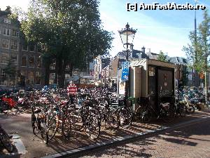 [P05] Care-o fi bicicleta mea... ?  » foto by marius gaudi*
 - 
<span class="allrVoted glyphicon glyphicon-heart hidden" id="av684004"></span>
<a class="m-l-10 hidden" id="sv684004" onclick="voting_Foto_DelVot(,684004,1639)" role="button">șterge vot <span class="glyphicon glyphicon-remove"></span></a>
<a id="v9684004" class=" c-red"  onclick="voting_Foto_SetVot(684004)" role="button"><span class="glyphicon glyphicon-heart-empty"></span> <b>LIKE</b> = Votează poza</a> <img class="hidden"  id="f684004W9" src="/imagini/loader.gif" border="0" /><span class="AjErrMes hidden" id="e684004ErM"></span>
