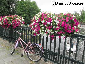 [P01] Amsterdam » foto by krondia*
 - 
<span class="allrVoted glyphicon glyphicon-heart hidden" id="av533221"></span>
<a class="m-l-10 hidden" id="sv533221" onclick="voting_Foto_DelVot(,533221,1639)" role="button">șterge vot <span class="glyphicon glyphicon-remove"></span></a>
<a id="v9533221" class=" c-red"  onclick="voting_Foto_SetVot(533221)" role="button"><span class="glyphicon glyphicon-heart-empty"></span> <b>LIKE</b> = Votează poza</a> <img class="hidden"  id="f533221W9" src="/imagini/loader.gif" border="0" /><span class="AjErrMes hidden" id="e533221ErM"></span>