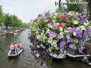 [P04] Amsterdam » foto by krondia*
 - 
<span class="allrVoted glyphicon glyphicon-heart hidden" id="av533224"></span>
<a class="m-l-10 hidden" id="sv533224" onclick="voting_Foto_DelVot(,533224,1639)" role="button">șterge vot <span class="glyphicon glyphicon-remove"></span></a>
<a id="v9533224" class=" c-red"  onclick="voting_Foto_SetVot(533224)" role="button"><span class="glyphicon glyphicon-heart-empty"></span> <b>LIKE</b> = Votează poza</a> <img class="hidden"  id="f533224W9" src="/imagini/loader.gif" border="0" /><span class="AjErrMes hidden" id="e533224ErM"></span>