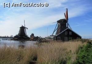 [P05] Moara De Zoeker, iar in spate Het Jonge Schaap » foto by Radu Tudoran
 - 
<span class="allrVoted glyphicon glyphicon-heart hidden" id="av744859"></span>
<a class="m-l-10 hidden" id="sv744859" onclick="voting_Foto_DelVot(,744859,1639)" role="button">șterge vot <span class="glyphicon glyphicon-remove"></span></a>
<a id="v9744859" class=" c-red"  onclick="voting_Foto_SetVot(744859)" role="button"><span class="glyphicon glyphicon-heart-empty"></span> <b>LIKE</b> = Votează poza</a> <img class="hidden"  id="f744859W9" src="/imagini/loader.gif" border="0" /><span class="AjErrMes hidden" id="e744859ErM"></span>