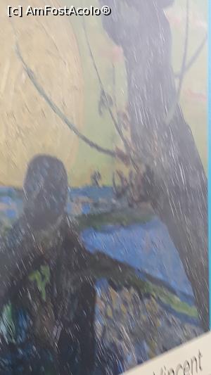 [P38] Van Gogh » foto by adrianbogdan
 - 
<span class="allrVoted glyphicon glyphicon-heart hidden" id="av1126646"></span>
<a class="m-l-10 hidden" id="sv1126646" onclick="voting_Foto_DelVot(,1126646,1639)" role="button">șterge vot <span class="glyphicon glyphicon-remove"></span></a>
<a id="v91126646" class=" c-red"  onclick="voting_Foto_SetVot(1126646)" role="button"><span class="glyphicon glyphicon-heart-empty"></span> <b>LIKE</b> = Votează poza</a> <img class="hidden"  id="f1126646W9" src="/imagini/loader.gif" border="0" /><span class="AjErrMes hidden" id="e1126646ErM"></span>
