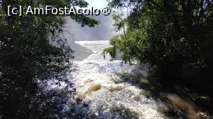 [P39]  -- <small>// FĂRĂ DESCRIERE</small> » foto by elenaadina
 - 
<span class="allrVoted glyphicon glyphicon-heart hidden" id="av1517733"></span>
<a class="m-l-10 hidden" id="sv1517733" onclick="voting_Foto_DelVot(,1517733,1653)" role="button">șterge vot <span class="glyphicon glyphicon-remove"></span></a>
<a id="v91517733" class=" c-red"  onclick="voting_Foto_SetVot(1517733)" role="button"><span class="glyphicon glyphicon-heart-empty"></span> <b>LIKE</b> = Votează poza</a> <img class="hidden"  id="f1517733W9" src="/imagini/loader.gif" border="0" /><span class="AjErrMes hidden" id="e1517733ErM"></span>