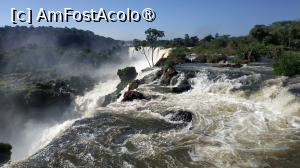 [P43]  -- <small>// FĂRĂ DESCRIERE</small> » foto by elenaadina
 - 
<span class="allrVoted glyphicon glyphicon-heart hidden" id="av1517737"></span>
<a class="m-l-10 hidden" id="sv1517737" onclick="voting_Foto_DelVot(,1517737,1653)" role="button">șterge vot <span class="glyphicon glyphicon-remove"></span></a>
<a id="v91517737" class=" c-red"  onclick="voting_Foto_SetVot(1517737)" role="button"><span class="glyphicon glyphicon-heart-empty"></span> <b>LIKE</b> = Votează poza</a> <img class="hidden"  id="f1517737W9" src="/imagini/loader.gif" border="0" /><span class="AjErrMes hidden" id="e1517737ErM"></span>