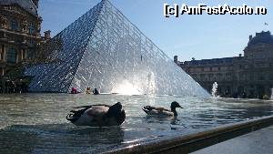 [P12]  -- <small>// FĂRĂ DESCRIERE</small> » foto by paris2014
 - 
<span class="allrVoted glyphicon glyphicon-heart hidden" id="av510487"></span>
<a class="m-l-10 hidden" id="sv510487" onclick="voting_Foto_DelVot(,510487,1684)" role="button">șterge vot <span class="glyphicon glyphicon-remove"></span></a>
<a id="v9510487" class=" c-red"  onclick="voting_Foto_SetVot(510487)" role="button"><span class="glyphicon glyphicon-heart-empty"></span> <b>LIKE</b> = Votează poza</a> <img class="hidden"  id="f510487W9" src="/imagini/loader.gif" border="0" /><span class="AjErrMes hidden" id="e510487ErM"></span>