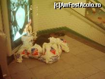 [P05] Un maghrebian care doarme si care, atunci cand se va trezi, va avea o surpriza placuta » foto by dorgo
 - 
<span class="allrVoted glyphicon glyphicon-heart hidden" id="av356238"></span>
<a class="m-l-10 hidden" id="sv356238" onclick="voting_Foto_DelVot(,356238,1684)" role="button">șterge vot <span class="glyphicon glyphicon-remove"></span></a>
<a id="v9356238" class=" c-red"  onclick="voting_Foto_SetVot(356238)" role="button"><span class="glyphicon glyphicon-heart-empty"></span> <b>LIKE</b> = Votează poza</a> <img class="hidden"  id="f356238W9" src="/imagini/loader.gif" border="0" /><span class="AjErrMes hidden" id="e356238ErM"></span>