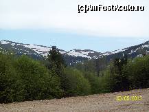 [P08]  -- <small>// FĂRĂ DESCRIERE</small> » foto by DanTal74
 - 
<span class="allrVoted glyphicon glyphicon-heart hidden" id="av430784"></span>
<a class="m-l-10 hidden" id="sv430784" onclick="voting_Foto_DelVot(,430784,1693)" role="button">șterge vot <span class="glyphicon glyphicon-remove"></span></a>
<a id="v9430784" class=" c-red"  onclick="voting_Foto_SetVot(430784)" role="button"><span class="glyphicon glyphicon-heart-empty"></span> <b>LIKE</b> = Votează poza</a> <img class="hidden"  id="f430784W9" src="/imagini/loader.gif" border="0" /><span class="AjErrMes hidden" id="e430784ErM"></span>
