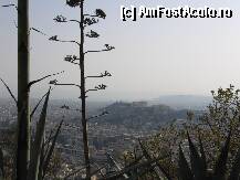 [P27] Acropolele vazute de pe Lycabetus » foto by Irina1974
 - 
<span class="allrVoted glyphicon glyphicon-heart hidden" id="av80577"></span>
<a class="m-l-10 hidden" id="sv80577" onclick="voting_Foto_DelVot(,80577,1710)" role="button">șterge vot <span class="glyphicon glyphicon-remove"></span></a>
<a id="v980577" class=" c-red"  onclick="voting_Foto_SetVot(80577)" role="button"><span class="glyphicon glyphicon-heart-empty"></span> <b>LIKE</b> = Votează poza</a> <img class="hidden"  id="f80577W9" src="/imagini/loader.gif" border="0" /><span class="AjErrMes hidden" id="e80577ErM"></span>