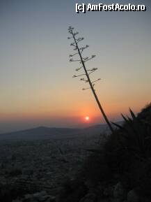 [P34] Aus de soare pe Lycabetus » foto by Irina1974
 - 
<span class="allrVoted glyphicon glyphicon-heart hidden" id="av80638"></span>
<a class="m-l-10 hidden" id="sv80638" onclick="voting_Foto_DelVot(,80638,1710)" role="button">șterge vot <span class="glyphicon glyphicon-remove"></span></a>
<a id="v980638" class=" c-red"  onclick="voting_Foto_SetVot(80638)" role="button"><span class="glyphicon glyphicon-heart-empty"></span> <b>LIKE</b> = Votează poza</a> <img class="hidden"  id="f80638W9" src="/imagini/loader.gif" border="0" /><span class="AjErrMes hidden" id="e80638ErM"></span>