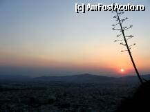 [P35] Apus de soare pe Lycabetus » foto by Irina1974
 - 
<span class="allrVoted glyphicon glyphicon-heart hidden" id="av80639"></span>
<a class="m-l-10 hidden" id="sv80639" onclick="voting_Foto_DelVot(,80639,1710)" role="button">șterge vot <span class="glyphicon glyphicon-remove"></span></a>
<a id="v980639" class=" c-red"  onclick="voting_Foto_SetVot(80639)" role="button"><span class="glyphicon glyphicon-heart-empty"></span> <b>LIKE</b> = Votează poza</a> <img class="hidden"  id="f80639W9" src="/imagini/loader.gif" border="0" /><span class="AjErrMes hidden" id="e80639ErM"></span>