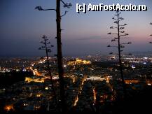 [P39]  -- <small>// FĂRĂ DESCRIERE</small> » foto by Irina1974
 - 
<span class="allrVoted glyphicon glyphicon-heart hidden" id="av80644"></span>
<a class="m-l-10 hidden" id="sv80644" onclick="voting_Foto_DelVot(,80644,1710)" role="button">șterge vot <span class="glyphicon glyphicon-remove"></span></a>
<a id="v980644" class=" c-red"  onclick="voting_Foto_SetVot(80644)" role="button"><span class="glyphicon glyphicon-heart-empty"></span> <b>LIKE</b> = Votează poza</a> <img class="hidden"  id="f80644W9" src="/imagini/loader.gif" border="0" /><span class="AjErrMes hidden" id="e80644ErM"></span>