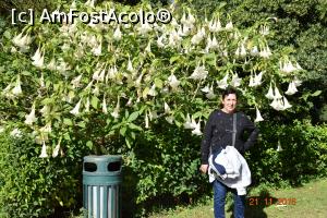[P06] Trompeta îngerilor.  » foto by Ioan Raita
 - 
<span class="allrVoted glyphicon glyphicon-heart hidden" id="av1043954"></span>
<a class="m-l-10 hidden" id="sv1043954" onclick="voting_Foto_DelVot(,1043954,1710)" role="button">șterge vot <span class="glyphicon glyphicon-remove"></span></a>
<a id="v91043954" class=" c-red"  onclick="voting_Foto_SetVot(1043954)" role="button"><span class="glyphicon glyphicon-heart-empty"></span> <b>LIKE</b> = Votează poza</a> <img class="hidden"  id="f1043954W9" src="/imagini/loader.gif" border="0" /><span class="AjErrMes hidden" id="e1043954ErM"></span>