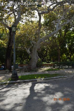 [P09] Alee prin parc.  » foto by Ioan Raita
 - 
<span class="allrVoted glyphicon glyphicon-heart hidden" id="av1043957"></span>
<a class="m-l-10 hidden" id="sv1043957" onclick="voting_Foto_DelVot(,1043957,1710)" role="button">șterge vot <span class="glyphicon glyphicon-remove"></span></a>
<a id="v91043957" class=" c-red"  onclick="voting_Foto_SetVot(1043957)" role="button"><span class="glyphicon glyphicon-heart-empty"></span> <b>LIKE</b> = Votează poza</a> <img class="hidden"  id="f1043957W9" src="/imagini/loader.gif" border="0" /><span class="AjErrMes hidden" id="e1043957ErM"></span>