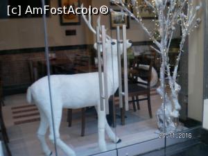 [P18] Vitrine sugestive.  » foto by melena
 - 
<span class="allrVoted glyphicon glyphicon-heart hidden" id="av817455"></span>
<a class="m-l-10 hidden" id="sv817455" onclick="voting_Foto_DelVot(,817455,1710)" role="button">șterge vot <span class="glyphicon glyphicon-remove"></span></a>
<a id="v9817455" class=" c-red"  onclick="voting_Foto_SetVot(817455)" role="button"><span class="glyphicon glyphicon-heart-empty"></span> <b>LIKE</b> = Votează poza</a> <img class="hidden"  id="f817455W9" src="/imagini/loader.gif" border="0" /><span class="AjErrMes hidden" id="e817455ErM"></span>
