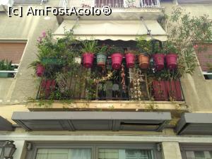 [P58] Ghivece în balconul unei case din Anafiotika » foto by Carmen Ion
 - 
<span class="allrVoted glyphicon glyphicon-heart hidden" id="av1040961"></span>
<a class="m-l-10 hidden" id="sv1040961" onclick="voting_Foto_DelVot(,1040961,1710)" role="button">șterge vot <span class="glyphicon glyphicon-remove"></span></a>
<a id="v91040961" class=" c-red"  onclick="voting_Foto_SetVot(1040961)" role="button"><span class="glyphicon glyphicon-heart-empty"></span> <b>LIKE</b> = Votează poza</a> <img class="hidden"  id="f1040961W9" src="/imagini/loader.gif" border="0" /><span class="AjErrMes hidden" id="e1040961ErM"></span>