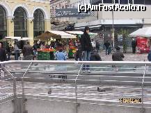 [P18]  -- <small>// FĂRĂ DESCRIERE</small> » foto by adi n
 - 
<span class="allrVoted glyphicon glyphicon-heart hidden" id="av92080"></span>
<a class="m-l-10 hidden" id="sv92080" onclick="voting_Foto_DelVot(,92080,1710)" role="button">șterge vot <span class="glyphicon glyphicon-remove"></span></a>
<a id="v992080" class=" c-red"  onclick="voting_Foto_SetVot(92080)" role="button"><span class="glyphicon glyphicon-heart-empty"></span> <b>LIKE</b> = Votează poza</a> <img class="hidden"  id="f92080W9" src="/imagini/loader.gif" border="0" /><span class="AjErrMes hidden" id="e92080ErM"></span>