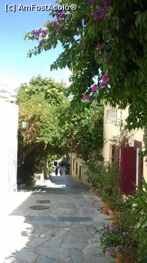 [P22] Plaka » foto by lianacioban
 - 
<span class="allrVoted glyphicon glyphicon-heart hidden" id="av1000589"></span>
<a class="m-l-10 hidden" id="sv1000589" onclick="voting_Foto_DelVot(,1000589,1710)" role="button">șterge vot <span class="glyphicon glyphicon-remove"></span></a>
<a id="v91000589" class=" c-red"  onclick="voting_Foto_SetVot(1000589)" role="button"><span class="glyphicon glyphicon-heart-empty"></span> <b>LIKE</b> = Votează poza</a> <img class="hidden"  id="f1000589W9" src="/imagini/loader.gif" border="0" /><span class="AjErrMes hidden" id="e1000589ErM"></span>
