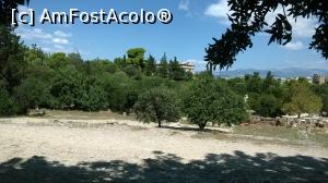[P07] Agora Antica » foto by lianacioban
 - 
<span class="allrVoted glyphicon glyphicon-heart hidden" id="av1000574"></span>
<a class="m-l-10 hidden" id="sv1000574" onclick="voting_Foto_DelVot(,1000574,1710)" role="button">șterge vot <span class="glyphicon glyphicon-remove"></span></a>
<a id="v91000574" class=" c-red"  onclick="voting_Foto_SetVot(1000574)" role="button"><span class="glyphicon glyphicon-heart-empty"></span> <b>LIKE</b> = Votează poza</a> <img class="hidden"  id="f1000574W9" src="/imagini/loader.gif" border="0" /><span class="AjErrMes hidden" id="e1000574ErM"></span>