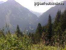 [P18] cascada vazuta de pe drumul care duce la Gerlos » foto by Alina Morar
 - 
<span class="allrVoted glyphicon glyphicon-heart hidden" id="av68708"></span>
<a class="m-l-10 hidden" id="sv68708" onclick="voting_Foto_DelVot(,68708,1735)" role="button">șterge vot <span class="glyphicon glyphicon-remove"></span></a>
<a id="v968708" class=" c-red"  onclick="voting_Foto_SetVot(68708)" role="button"><span class="glyphicon glyphicon-heart-empty"></span> <b>LIKE</b> = Votează poza</a> <img class="hidden"  id="f68708W9" src="/imagini/loader.gif" border="0" /><span class="AjErrMes hidden" id="e68708ErM"></span>