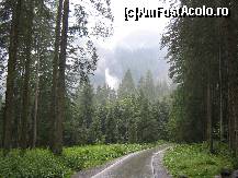 [P02] cascada vazuta de pe drum » foto by RalucaF
 - 
<span class="allrVoted glyphicon glyphicon-heart hidden" id="av111879"></span>
<a class="m-l-10 hidden" id="sv111879" onclick="voting_Foto_DelVot(,111879,1735)" role="button">șterge vot <span class="glyphicon glyphicon-remove"></span></a>
<a id="v9111879" class=" c-red"  onclick="voting_Foto_SetVot(111879)" role="button"><span class="glyphicon glyphicon-heart-empty"></span> <b>LIKE</b> = Votează poza</a> <img class="hidden"  id="f111879W9" src="/imagini/loader.gif" border="0" /><span class="AjErrMes hidden" id="e111879ErM"></span>