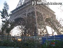 [P02]  -- <small>// FĂRĂ DESCRIERE</small> » foto by cristi_an3000
 - 
<span class="allrVoted glyphicon glyphicon-heart hidden" id="av5877"></span>
<a class="m-l-10 hidden" id="sv5877" onclick="voting_Foto_DelVot(,5877,1740)" role="button">șterge vot <span class="glyphicon glyphicon-remove"></span></a>
<a id="v95877" class=" c-red"  onclick="voting_Foto_SetVot(5877)" role="button"><span class="glyphicon glyphicon-heart-empty"></span> <b>LIKE</b> = Votează poza</a> <img class="hidden"  id="f5877W9" src="/imagini/loader.gif" border="0" /><span class="AjErrMes hidden" id="e5877ErM"></span>