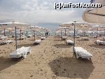 [P10] Neptun beach la prima ora a diminetii » foto by calim
 - 
<span class="allrVoted glyphicon glyphicon-heart hidden" id="av375621"></span>
<a class="m-l-10 hidden" id="sv375621" onclick="voting_Foto_DelVot(,375621,1763)" role="button">șterge vot <span class="glyphicon glyphicon-remove"></span></a>
<a id="v9375621" class=" c-red"  onclick="voting_Foto_SetVot(375621)" role="button"><span class="glyphicon glyphicon-heart-empty"></span> <b>LIKE</b> = Votează poza</a> <img class="hidden"  id="f375621W9" src="/imagini/loader.gif" border="0" /><span class="AjErrMes hidden" id="e375621ErM"></span>