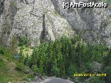[P54] peisaj la Cheile Bicazului. » foto by adryana
 - 
<span class="allrVoted glyphicon glyphicon-heart hidden" id="av333955"></span>
<a class="m-l-10 hidden" id="sv333955" onclick="voting_Foto_DelVot(,333955,1782)" role="button">șterge vot <span class="glyphicon glyphicon-remove"></span></a>
<a id="v9333955" class=" c-red"  onclick="voting_Foto_SetVot(333955)" role="button"><span class="glyphicon glyphicon-heart-empty"></span> <b>LIKE</b> = Votează poza</a> <img class="hidden"  id="f333955W9" src="/imagini/loader.gif" border="0" /><span class="AjErrMes hidden" id="e333955ErM"></span>