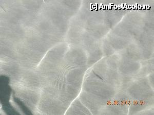 [P10]  -- <small>// FĂRĂ DESCRIERE</small> » foto by roloback
 - 
<span class="allrVoted glyphicon glyphicon-heart hidden" id="av467397"></span>
<a class="m-l-10 hidden" id="sv467397" onclick="voting_Foto_DelVot(,467397,1787)" role="button">șterge vot <span class="glyphicon glyphicon-remove"></span></a>
<a id="v9467397" class=" c-red"  onclick="voting_Foto_SetVot(467397)" role="button"><span class="glyphicon glyphicon-heart-empty"></span> <b>LIKE</b> = Votează poza</a> <img class="hidden"  id="f467397W9" src="/imagini/loader.gif" border="0" /><span class="AjErrMes hidden" id="e467397ErM"></span>