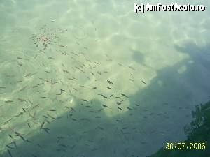 [P10] marea egee » foto by shaq
 - 
<span class="allrVoted glyphicon glyphicon-heart hidden" id="av344078"></span>
<a class="m-l-10 hidden" id="sv344078" onclick="voting_Foto_DelVot(,344078,1788)" role="button">șterge vot <span class="glyphicon glyphicon-remove"></span></a>
<a id="v9344078" class=" c-red"  onclick="voting_Foto_SetVot(344078)" role="button"><span class="glyphicon glyphicon-heart-empty"></span> <b>LIKE</b> = Votează poza</a> <img class="hidden"  id="f344078W9" src="/imagini/loader.gif" border="0" /><span class="AjErrMes hidden" id="e344078ErM"></span>