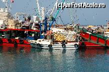 [P15] Pescari in asteptarea, ,,prazii sau a pepenilor: P » foto by Lavy
 - 
<span class="allrVoted glyphicon glyphicon-heart hidden" id="av378948"></span>
<a class="m-l-10 hidden" id="sv378948" onclick="voting_Foto_DelVot(,378948,1788)" role="button">șterge vot <span class="glyphicon glyphicon-remove"></span></a>
<a id="v9378948" class=" c-red"  onclick="voting_Foto_SetVot(378948)" role="button"><span class="glyphicon glyphicon-heart-empty"></span> <b>LIKE</b> = Votează poza</a> <img class="hidden"  id="f378948W9" src="/imagini/loader.gif" border="0" /><span class="AjErrMes hidden" id="e378948ErM"></span>