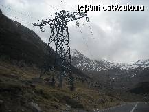 [P13]  -- <small>// FĂRĂ DESCRIERE</small> » foto by liviu30
 - 
<span class="allrVoted glyphicon glyphicon-heart hidden" id="av96394"></span>
<a class="m-l-10 hidden" id="sv96394" onclick="voting_Foto_DelVot(,96394,1790)" role="button">șterge vot <span class="glyphicon glyphicon-remove"></span></a>
<a id="v996394" class=" c-red"  onclick="voting_Foto_SetVot(96394)" role="button"><span class="glyphicon glyphicon-heart-empty"></span> <b>LIKE</b> = Votează poza</a> <img class="hidden"  id="f96394W9" src="/imagini/loader.gif" border="0" /><span class="AjErrMes hidden" id="e96394ErM"></span>