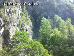 [P01] Transfăgărășan » foto by Mioritik
 - 
<span class="allrVoted glyphicon glyphicon-heart hidden" id="av1268274"></span>
<a class="m-l-10 hidden" id="sv1268274" onclick="voting_Foto_DelVot(,1268274,1790)" role="button">șterge vot <span class="glyphicon glyphicon-remove"></span></a>
<a id="v91268274" class=" c-red"  onclick="voting_Foto_SetVot(1268274)" role="button"><span class="glyphicon glyphicon-heart-empty"></span> <b>LIKE</b> = Votează poza</a> <img class="hidden"  id="f1268274W9" src="/imagini/loader.gif" border="0" /><span class="AjErrMes hidden" id="e1268274ErM"></span>