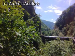 [P11] Transfăgărășan » foto by Mioritik
 - 
<span class="allrVoted glyphicon glyphicon-heart hidden" id="av1268284"></span>
<a class="m-l-10 hidden" id="sv1268284" onclick="voting_Foto_DelVot(,1268284,1790)" role="button">șterge vot <span class="glyphicon glyphicon-remove"></span></a>
<a id="v91268284" class=" c-red"  onclick="voting_Foto_SetVot(1268284)" role="button"><span class="glyphicon glyphicon-heart-empty"></span> <b>LIKE</b> = Votează poza</a> <img class="hidden"  id="f1268284W9" src="/imagini/loader.gif" border="0" /><span class="AjErrMes hidden" id="e1268284ErM"></span>