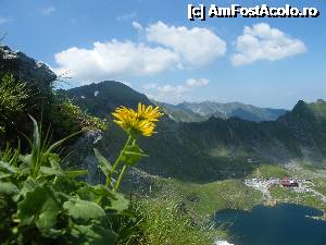 [P12] În stânga - Vârful Paltinu, în continuare spre dreapta, Muche Bâlei şi în fundal, Masivul Negoiu » foto by Vasile S
 - 
<span class="allrVoted glyphicon glyphicon-heart hidden" id="av368256"></span>
<a class="m-l-10 hidden" id="sv368256" onclick="voting_Foto_DelVot(,368256,1790)" role="button">șterge vot <span class="glyphicon glyphicon-remove"></span></a>
<a id="v9368256" class=" c-red"  onclick="voting_Foto_SetVot(368256)" role="button"><span class="glyphicon glyphicon-heart-empty"></span> <b>LIKE</b> = Votează poza</a> <img class="hidden"  id="f368256W9" src="/imagini/loader.gif" border="0" /><span class="AjErrMes hidden" id="e368256ErM"></span>