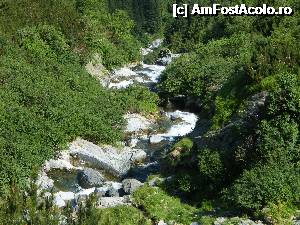 [P02] Pârâul Bâlea coborând cu repeziciune către cascadă » foto by Vasile S
 - 
<span class="allrVoted glyphicon glyphicon-heart hidden" id="av368246"></span>
<a class="m-l-10 hidden" id="sv368246" onclick="voting_Foto_DelVot(,368246,1790)" role="button">șterge vot <span class="glyphicon glyphicon-remove"></span></a>
<a id="v9368246" class=" c-red"  onclick="voting_Foto_SetVot(368246)" role="button"><span class="glyphicon glyphicon-heart-empty"></span> <b>LIKE</b> = Votează poza</a> <img class="hidden"  id="f368246W9" src="/imagini/loader.gif" border="0" /><span class="AjErrMes hidden" id="e368246ErM"></span>
