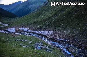 [P22] alt parau serpuitor » foto by Muffin2009*
 - 
<span class="allrVoted glyphicon glyphicon-heart hidden" id="av439496"></span>
<a class="m-l-10 hidden" id="sv439496" onclick="voting_Foto_DelVot(,439496,1790)" role="button">șterge vot <span class="glyphicon glyphicon-remove"></span></a>
<a id="v9439496" class=" c-red"  onclick="voting_Foto_SetVot(439496)" role="button"><span class="glyphicon glyphicon-heart-empty"></span> <b>LIKE</b> = Votează poza</a> <img class="hidden"  id="f439496W9" src="/imagini/loader.gif" border="0" /><span class="AjErrMes hidden" id="e439496ErM"></span>